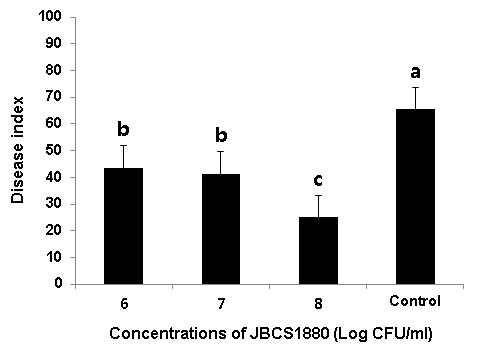 Control of bacterial grain rot by treatment with different concentrations of P seudomonas sp. JBCS1880. Surface-sterilized rice seeds were challenge inoculated with Burkholderia glumae, air-dried, soaked in 1?06-8 CFU/ml of JBCS1880 suspensions. The seeds were sown in paper towel and disease index was calculated 14 days after inoculation. The seeds treated with sterile DW amended with CMC served as controls. Vertical bars indicate standard deviation of the means. The experiment consisted of three replicates of 10 seeds each and the entire experiment was repeated three times.