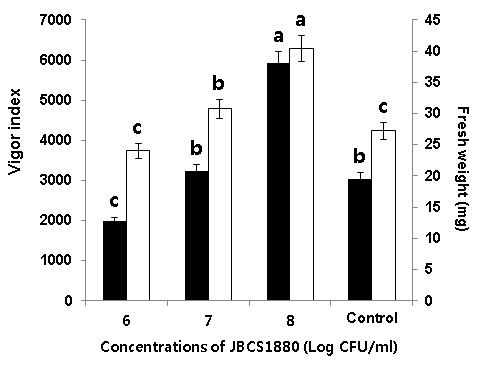 Effect of P seudomonas sp. JBCS1880 on the growth of rice plants. Surface-sterilized rice seeds were soaked in 1?06-8 CFU/ml of JBCS1880 suspensions. The seeds treated with sterile DW amended with 0.2% CMC served as control. Vertical bars indicate standard deviation of the means. The experiment consisted of three replicates of 10 seeds each and the experiment was repeated three times.