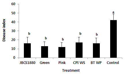 Incidence of bacterial grain rot after coating with different formulations. Surface-sterilized rice seeds were challenge inoculated with B. glumae, air-dried and soaked in JBCS1880 suspensions amended with 0.2% CMC. The bacterized seeds sowed in rice nursery bed soil. The seeds treated with sterile DW amended with CMC served as controls. Vertical bars indicate standard deviation of the means. Carpropamid/ Prochloraz-Mn/ imidacloprid water dispersible powder for slurry treatment (CPI WS) and benomy-thiram WP (BT WP) which is recommended as rice seed disinfectant were used as chemical control. Columns with the same letter are not significantly different (p< 0.05) according to the LSD. Vertical bars indicate standard deviation.
