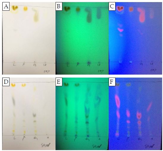 딸기 부위별 헥세인 추출물의 극성(A, B, C) 및 비극성(D, E, F) 이동상에서의 TLC 결과.