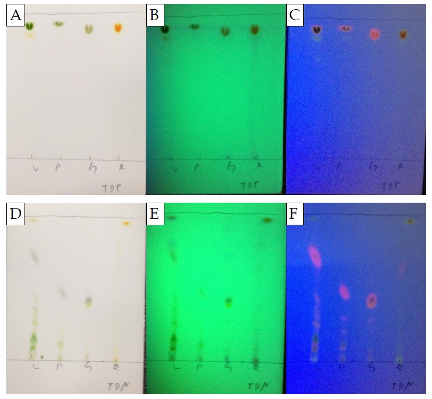 토마토 부위별 디클로로메테인 추출물의 극성(A, B, C) 및 비극성(D, E, F) 이동상에서의 TLC 결과