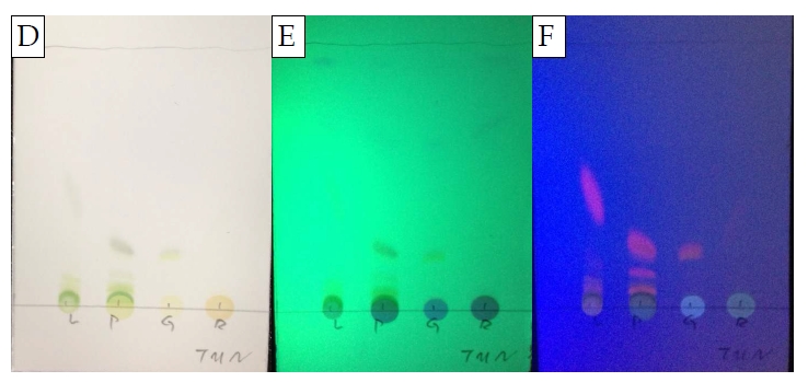 그림 2. 토마토 부위별 메탄올 추출물의 극성(A, B, C) 및 비극성(D, E, F) 이동상에서의 TLC 결과.