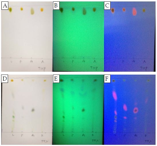 토마토 부위별 헥세인 추출물의 극성(A, B, C) 및 비극성(D, E, F) 이동상에서의 TLC 결과.