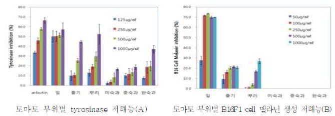 토마토 식물체 부위별 멜라닌 생성 저해능의 미백 효능