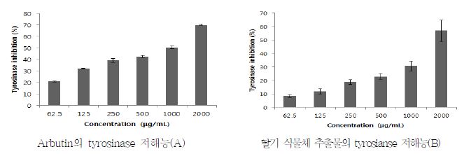 딸기 식물체 추출물의 tyrosinase 활성 저해능