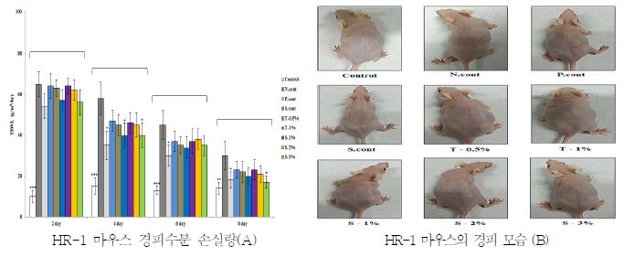 HR-1 마우스에서 경피수분 손실량 및 피부 미백효과