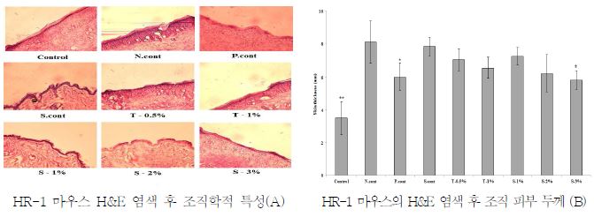 Hematoxyiln and eosin(H&E) 염색 관찰로 피부 조직학적 특성