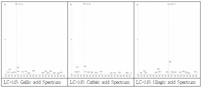 갈릭산, 카페익산, 일라직산 LC-MS 이용 정성(분자량 확인) 분석