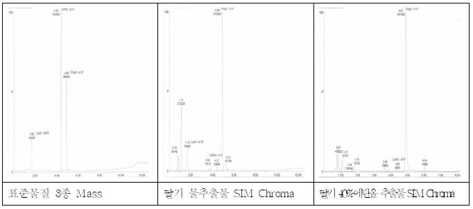 딸기식물체 물추출물의 LC/MS m/z 169, 179, 301의 SIM Chromatogram