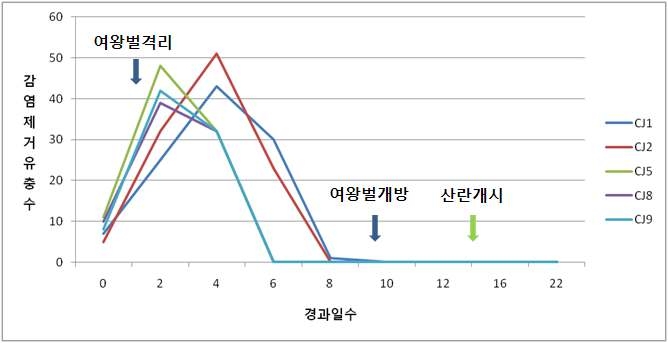 여왕벌 격리 전후 일벌에 의한 낭충봉아병 감염 ? 제거 유충 수