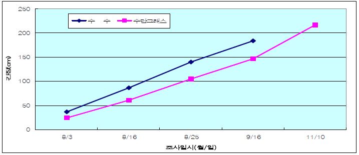 방풍작물별 간장 생육특성(2011년)