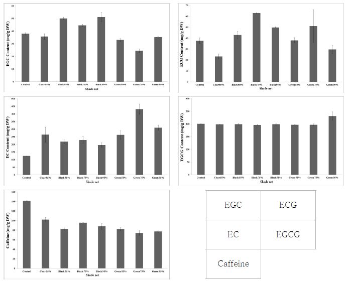 차광망 설치 유무에 따른 카테킨 함량변화 측정