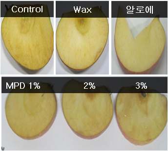 사과 컷 coating 소재에 따른 사과 표면 갈변 사진