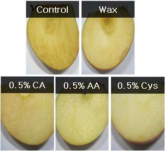 다양한 항갈변제 처리의 사과 표면의 갈변에 대한 효과