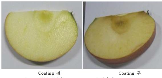 최종 선정된 0.5% cysteine이 첨가된 A . vera gel로 coating된 사과 컷 사진