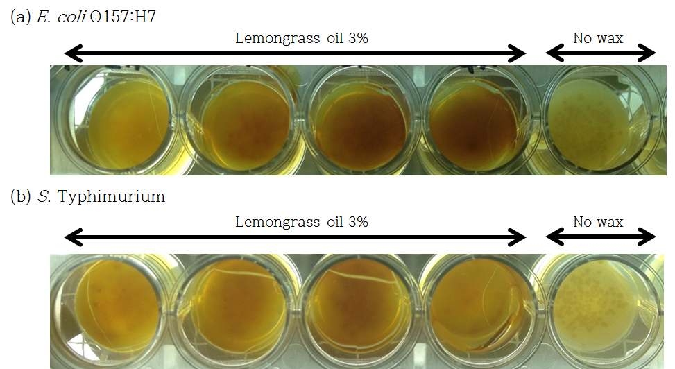 Lemongrass oil이 3% (w/w) 혼합된 wax coating제의 E . coli O157:H7과 S. Typhimurium에 대한 저해 효과