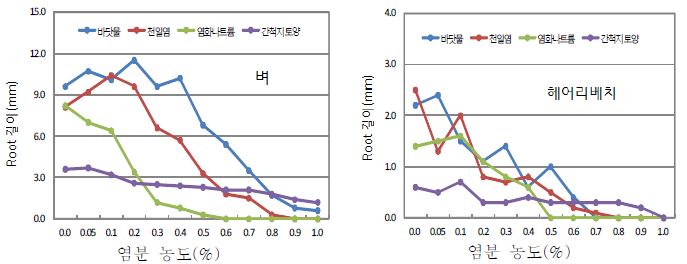 염분 농도별 벼와 헤어리베치의 뿌리 생장반응 (처리 8일후)