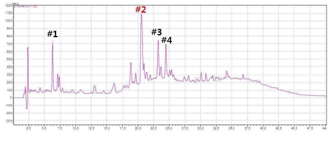 Fig. 6. HPLC analysis of antifungal peptide produced by Lactobacillus plantarum subsp. plantarum K30/(BC-K30).