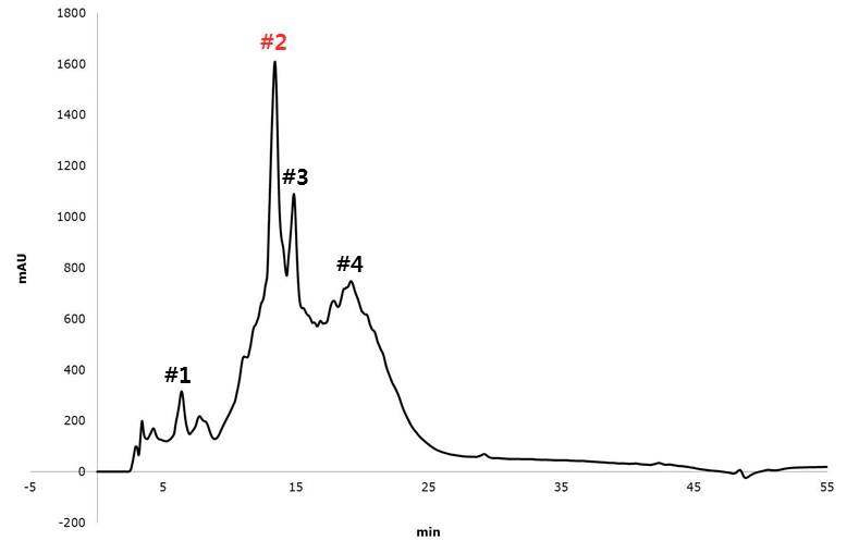 Fig. 8. HPLC analysis of antifungal peptide produced by Lactobacillus sp. K38/(BC-N1).