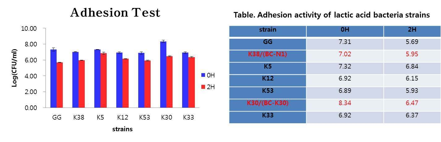 Fig. 17. Adhesion activity of selected Lactobacillus strains