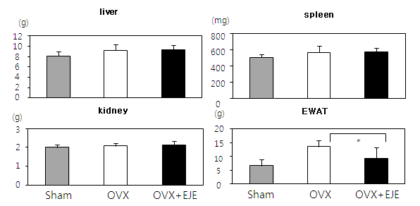등골나물 줄기의 6주간 투여 후 조직별 무게 변화 (OVX rat)