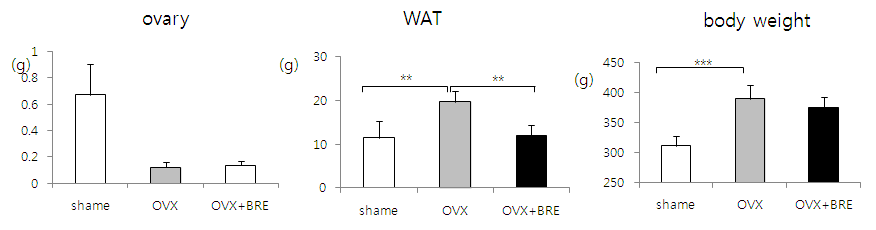 흑미의 OVX rat에서의 6주간 투여 후 항비만 기능성 (N=5, 6 weeks)