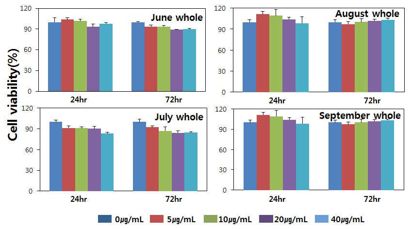 시기별로 채취된 피의 세포독성(MTT assay)