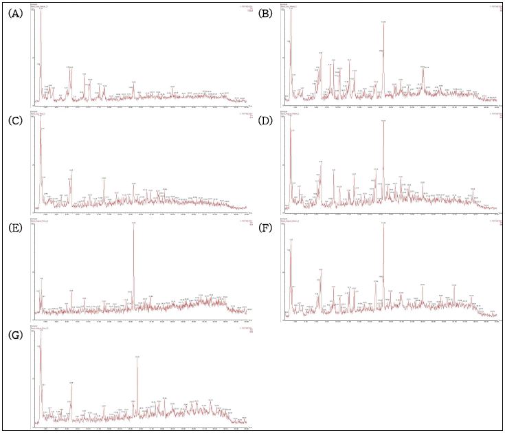 피 에탄올 추출물의 UPLC-TOF MS spectrum 비교