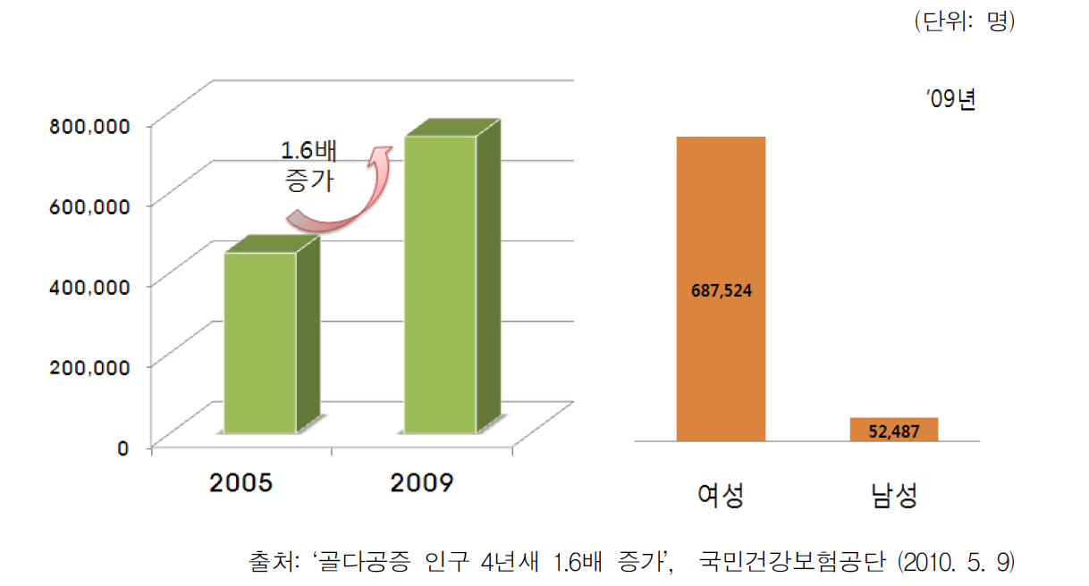 2009년 국내 골다공증 환자