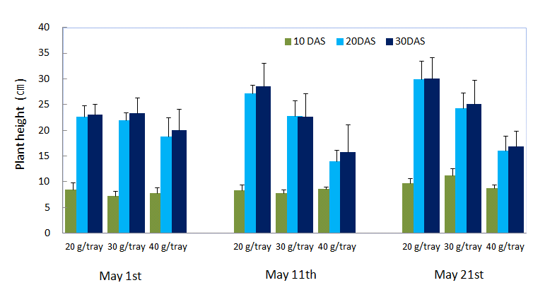 Effects of seeding dates, nursery periods and seeding amounts on seedling height in seedling nursery for machine transplanting of barnyard millet