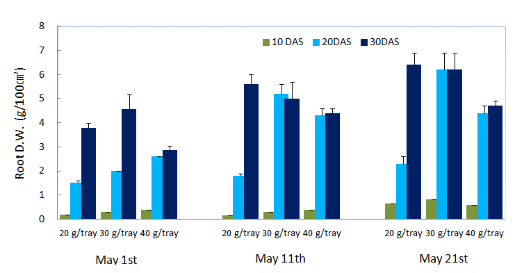 Effects of seeding dates, seeding tray and seedling days for nursery periods on dry weight of seedling root in seedling nursery for machine transplanting of barnyard millet