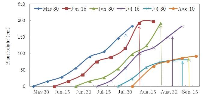 Temporal variation of plant height affected by different transplanting times in machine transplanting of barnyard millet