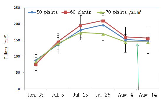 Temporal variation of number of tiller affected by different planting densities in machine transplanting of barnyard millet