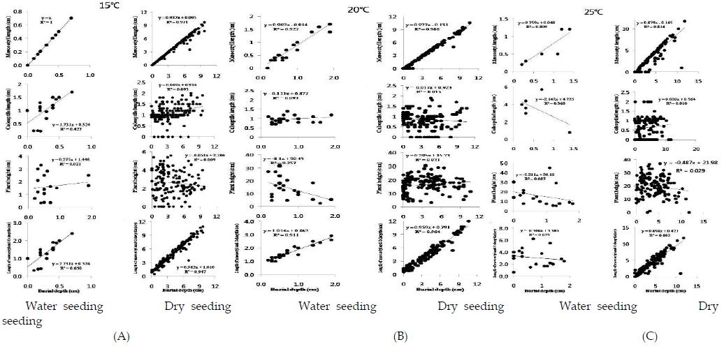 Relationship between seeding depth and initial growth characteristics (mesocotyl length, coleoptile length, plant height, and the length of coleoptile+mesocotyl) at 15℃(A), 20℃(B), 25℃(C) in water and d교 seeded forage millet.