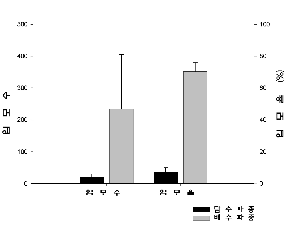 담수파종과 배수파종의 입모조사