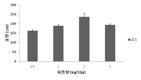 사료피 1호의 파종량에 따른 초장