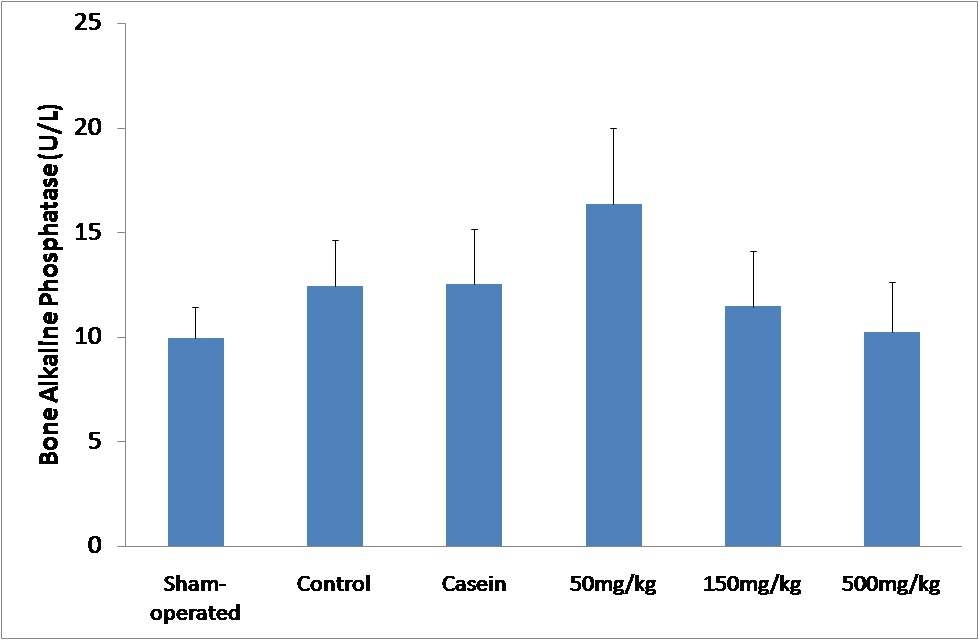 콜라겐 펩타이드 3개월 섭취 후 bone alkaline phosphatase 변화