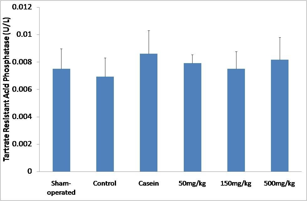 콜라겐 펩타이드 3개월 섭취 후 tartrate resistant acid phosphatase 변화