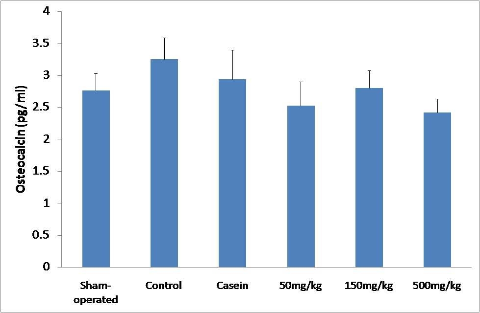 콜라겐 펩타이드 3개월 섭취 후 osteocalcin 변화