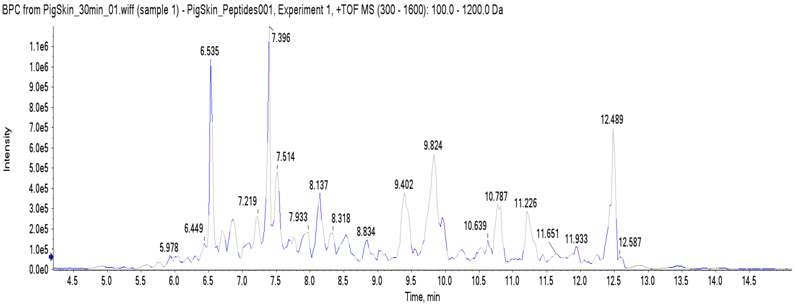 콜라겐 펩타이드 분해물의 mass chromatogram 결과