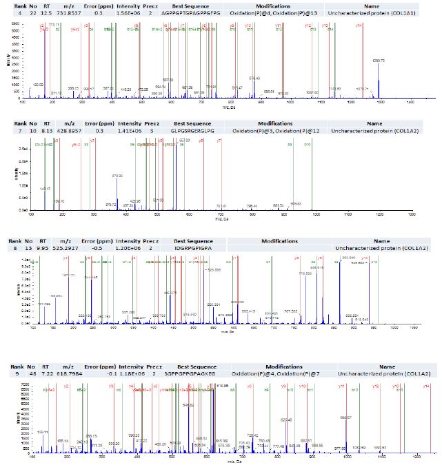 콜라겐 분해 펩타이드의 텐덤 스펙트럼 동정결과
