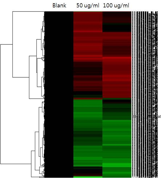 발현 변이가 일어난 유전자에 대한 clustering heatmap 분석