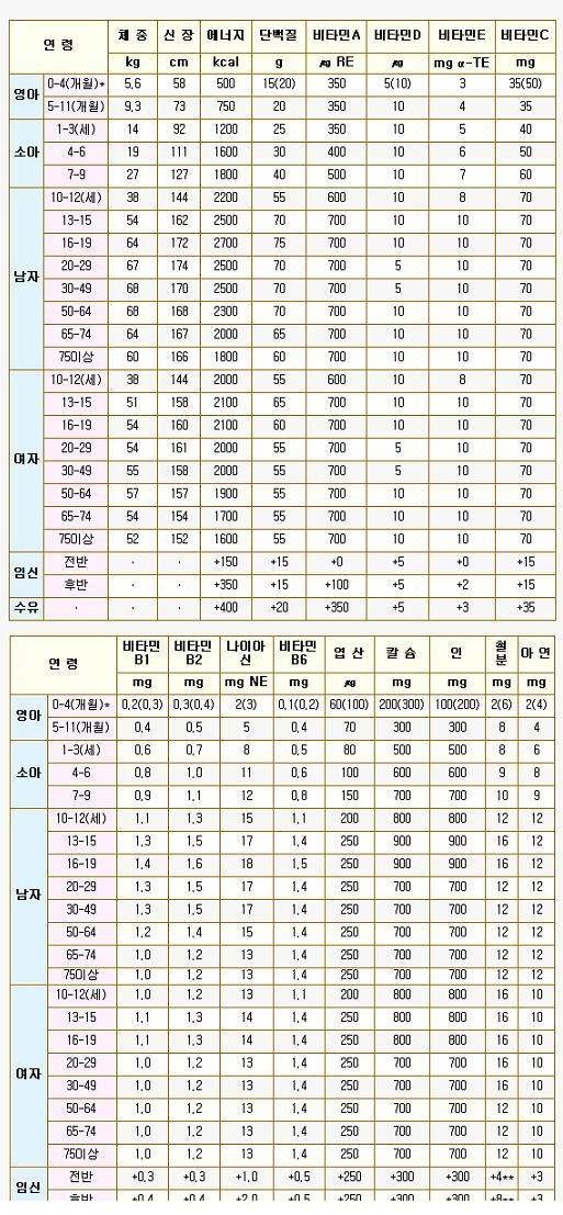 연령별 일일 칼로리 소비량