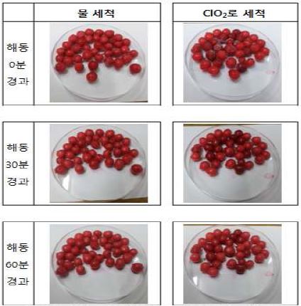 급속동결(-50℃) 보관 시료 해동