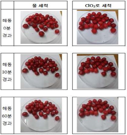 -40℃급속동결 후 -20℃일반냉동 보관 시료 해동