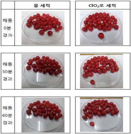 -50℃ 급속동결 후 -20℃ 일반냉동 보관 시료 해동