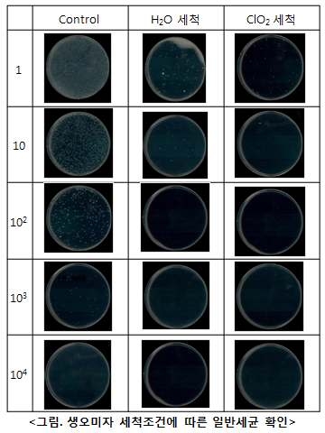 생 오미자 세척조건에 따른 일반세균 확인
