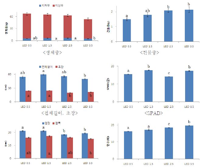 배양액 EC에 따른 적축면 상추의 생육 및 SPAD값