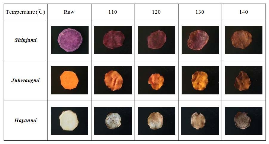 굽기 온도별 고구마 칩의 외관