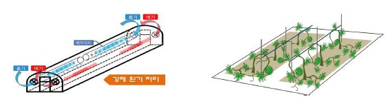 수박시설 하우스 강제환기 모식도(좌)와 수박 재배 입체재배 모식도(우)